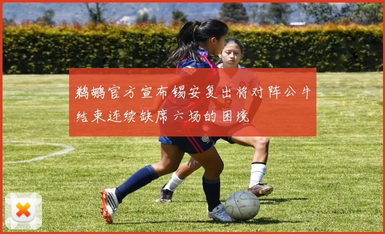 鹈鹕官方宣布锡安复出将对阵公牛结束连续缺席六场的困境