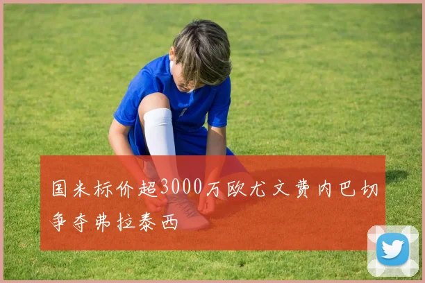 国米标价超3000万欧尤文费内巴切争夺弗拉泰西