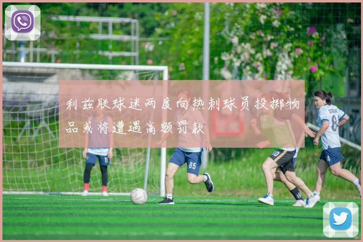 利兹联球迷两度向热刺球员投掷物品或将遭遇高额罚款